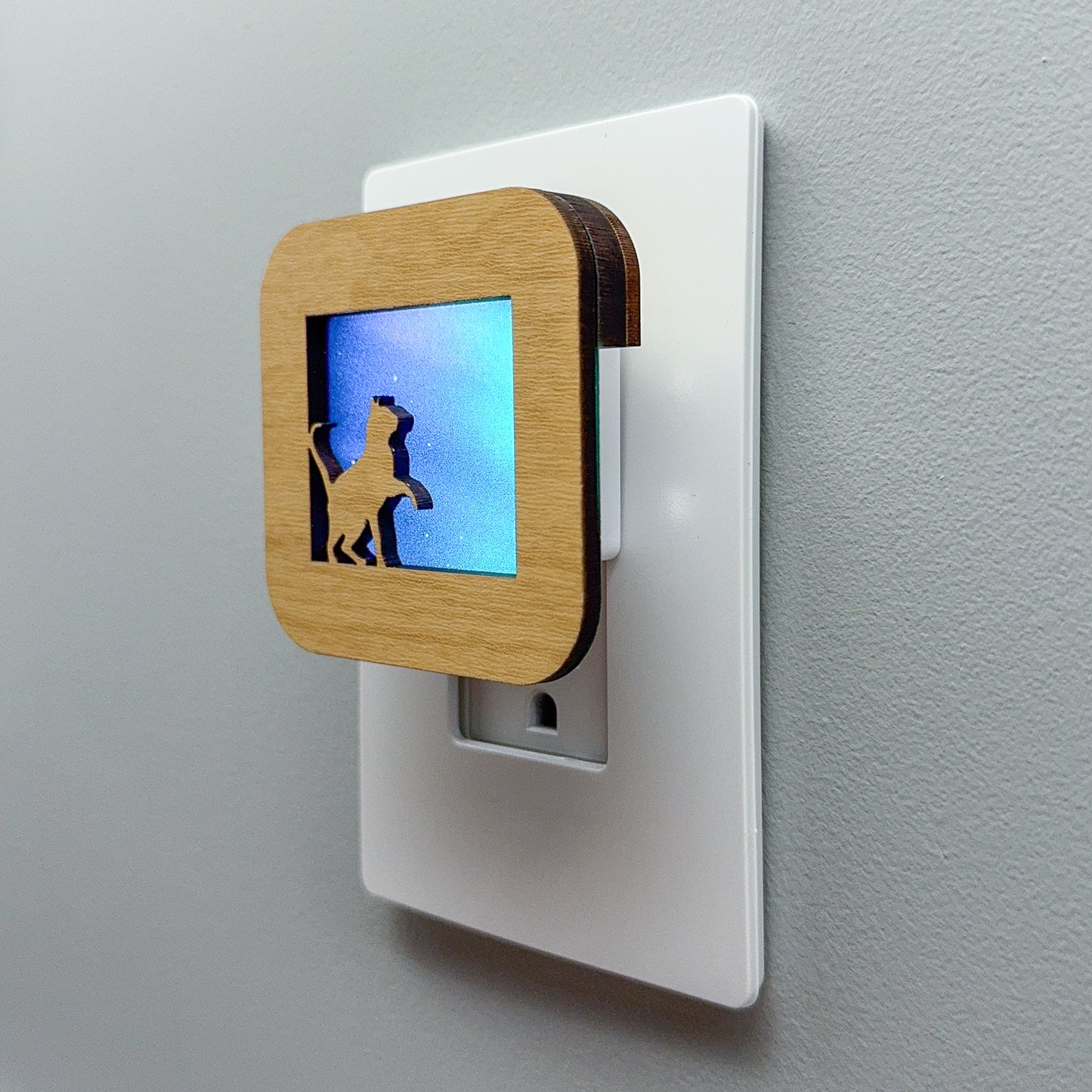 Cat Night Light with Northern Lights Background