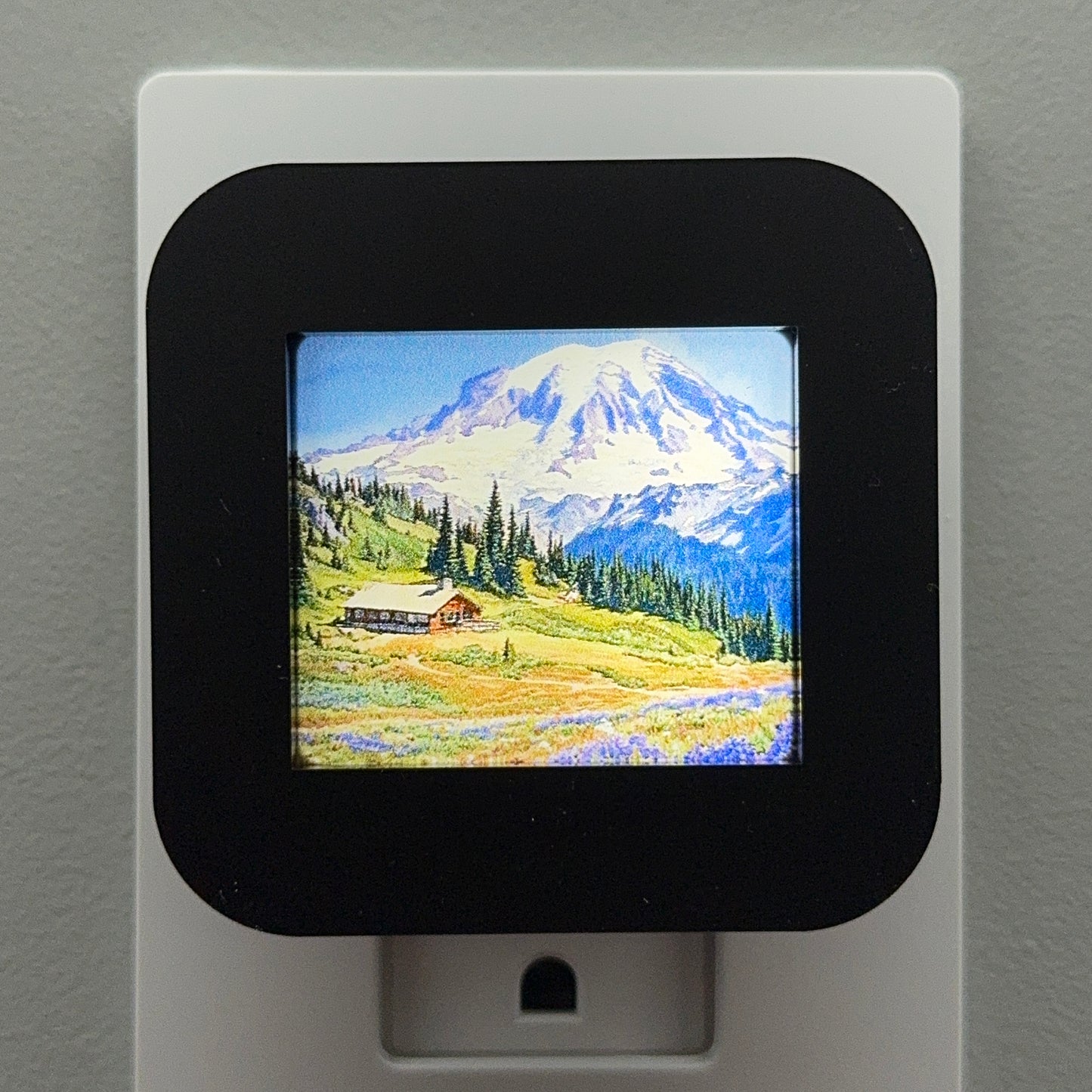Mount Rainier National Park Night Light