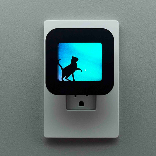 Cat Night Light with Northern Lights Background