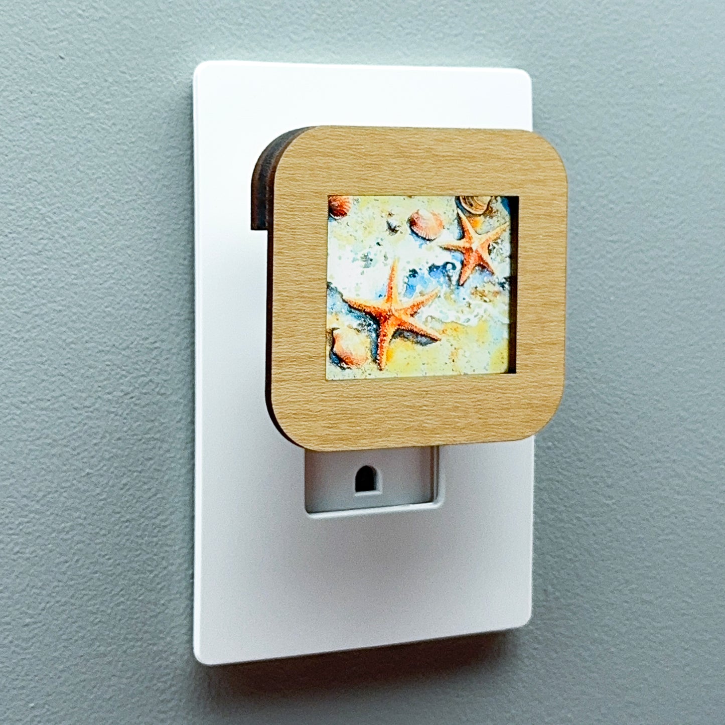 Starfish and Seashells Beach Scene Night Light