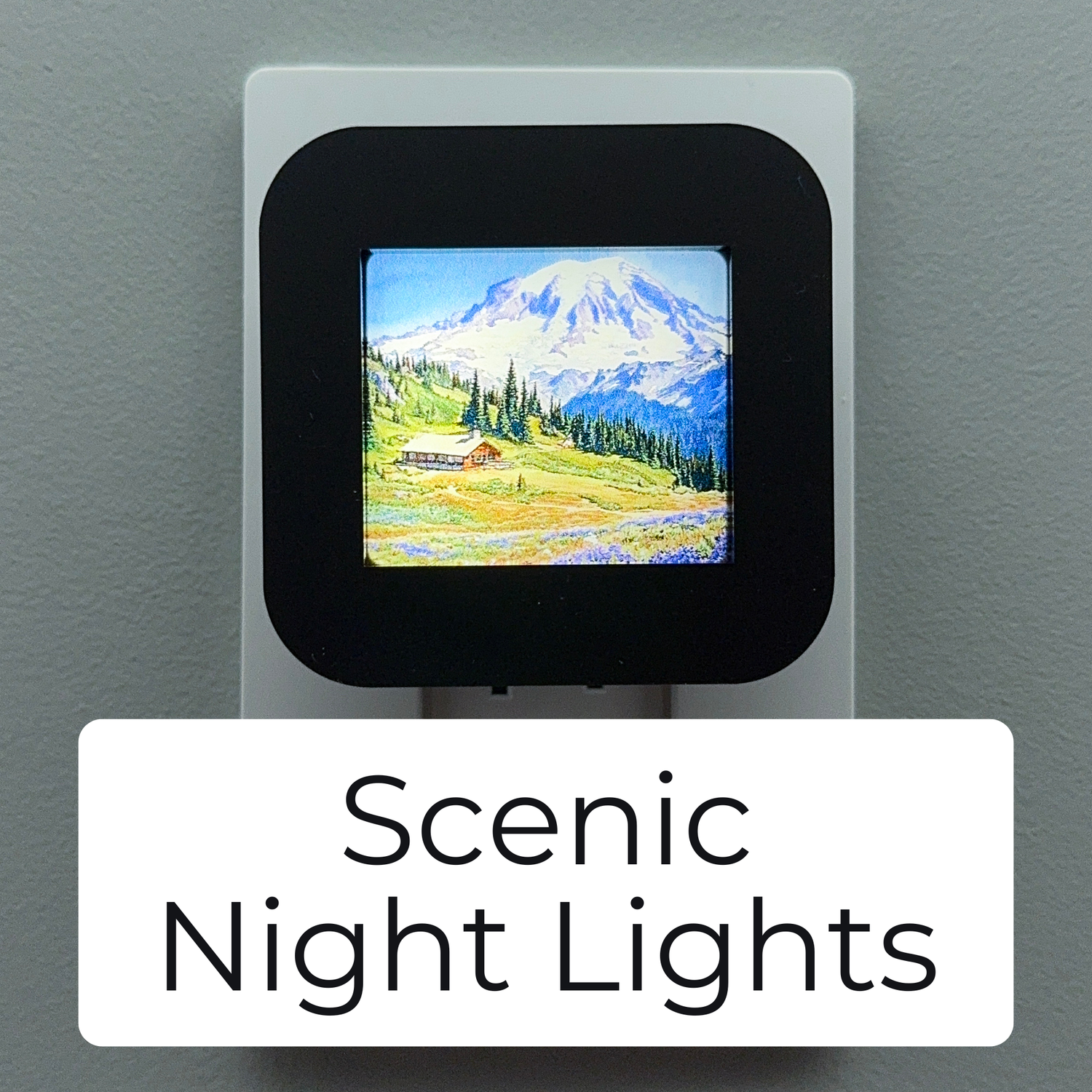 Scenic Night Lights