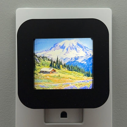Mount Rainier National Park Night Light