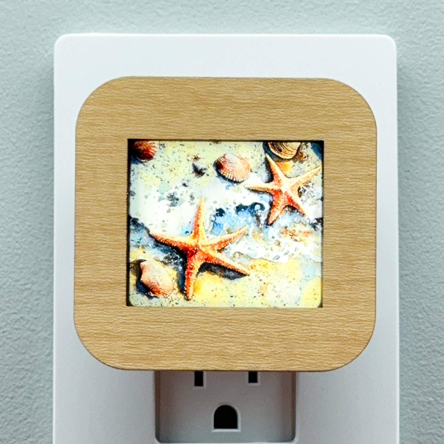 Starfish and Seashells Beach Scene Night Light