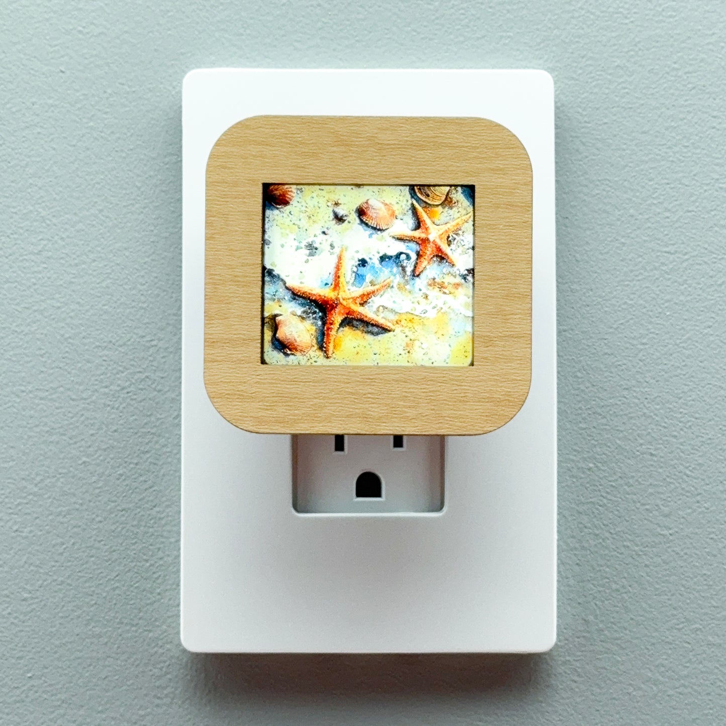 Starfish and Seashells Beach Scene Night Light