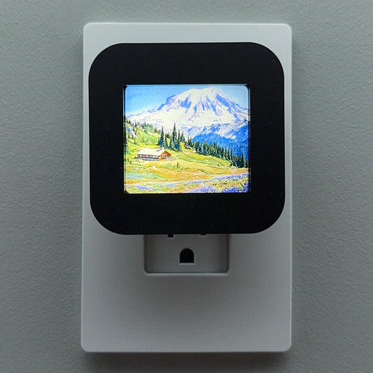 Mount Rainier National Park Night Light