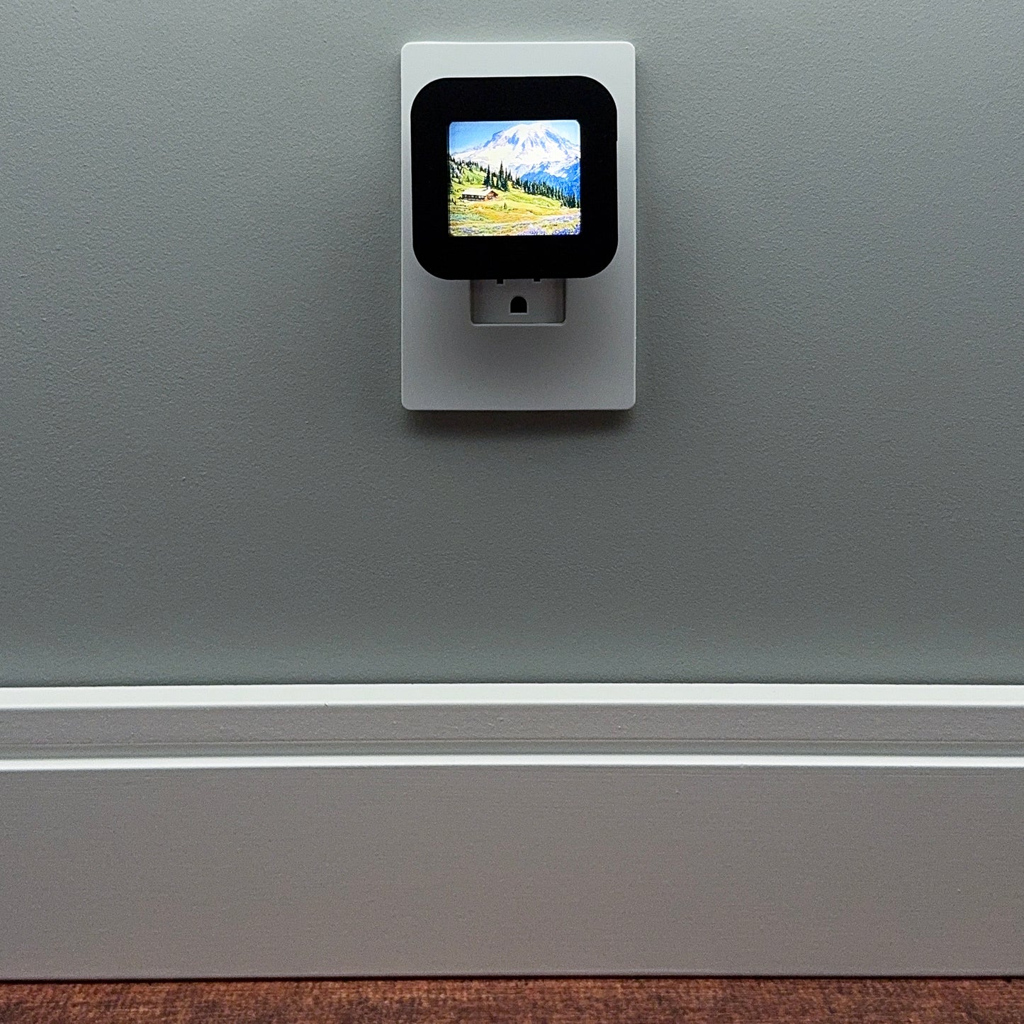 Mount Rainier National Park Night Light