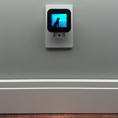 Sitting Dog Night Light with Northern Lights Background