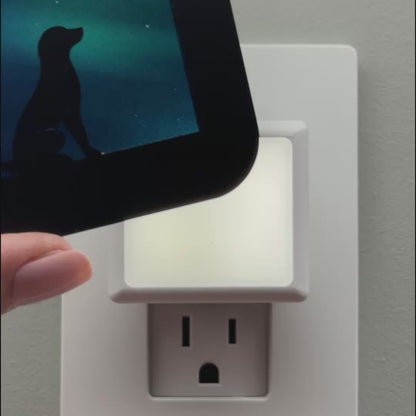 Sitting Dog Night Light with Northern Lights Background