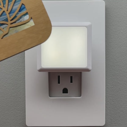 Nautilus Shell Night Light