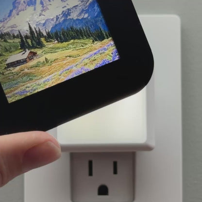 Mount Rainier National Park Night Light