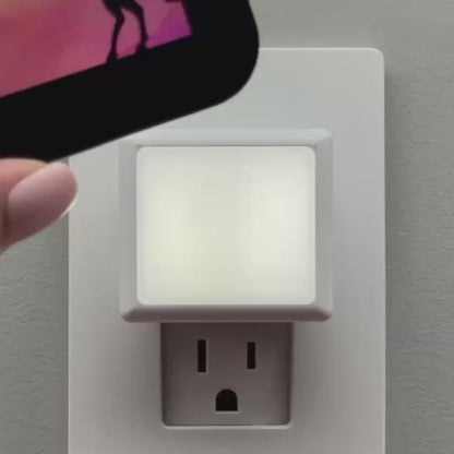Rearing Horse Night Light