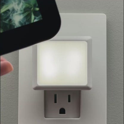 Smoke and Marijuana Leaves Night Light