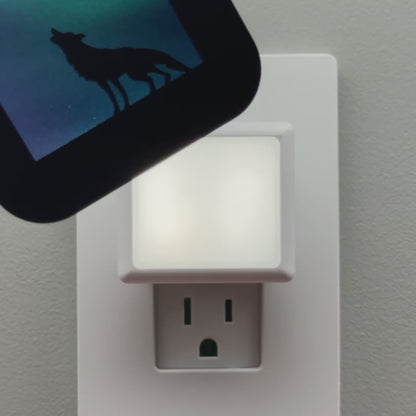 Wolf Night Light with Northern Lights Background