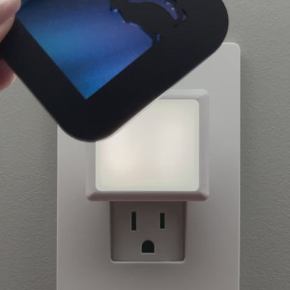 Cat Night Light with Northern Lights Background