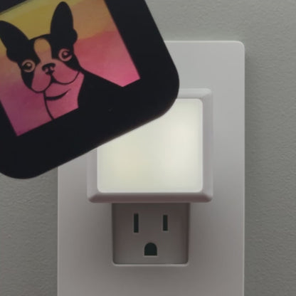 Boston Terrier Dog Night Light