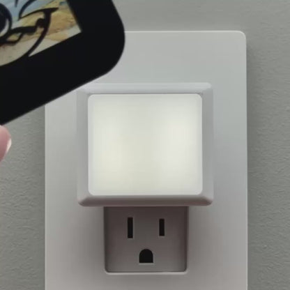 Oyster Shell Night Light