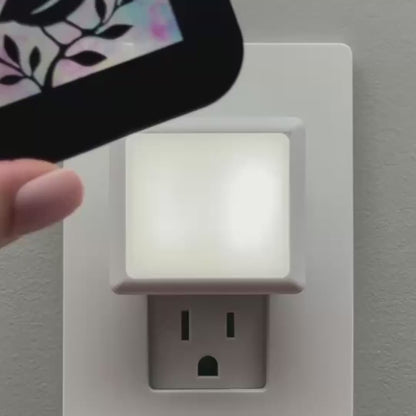 Cute Bird in Tree Night Light