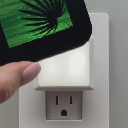 Palm Leaf Night Light