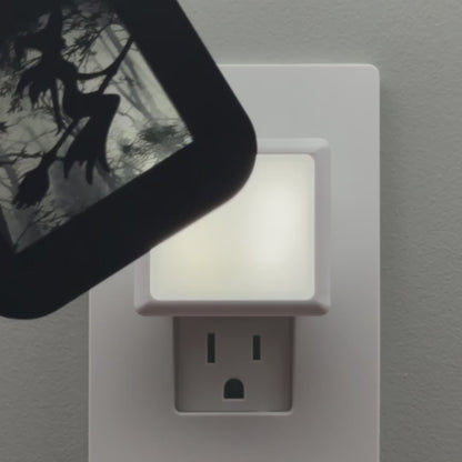 Witch in Haunted Forest Night Light