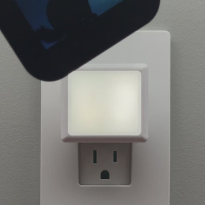 Fluffy Cat Night Light with Northern Lights Background