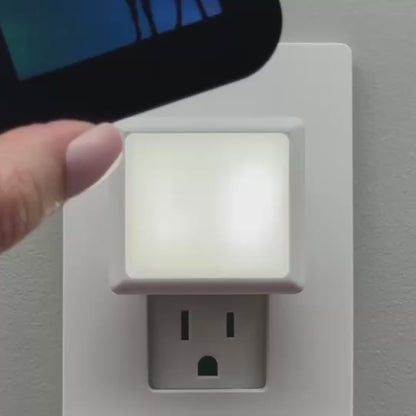 Deer Night Light with Northern Lights Background