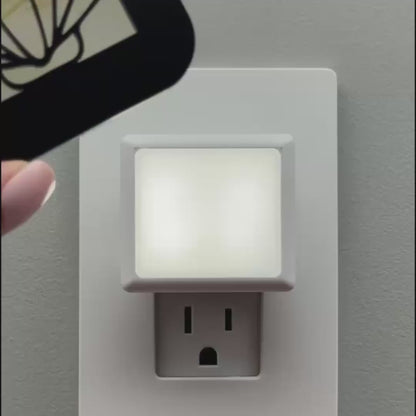 Scallop Seashell Night Light