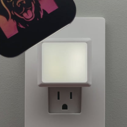 Golden Retriever Dog Night Light