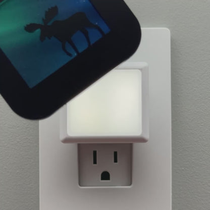 Moose Night Light with Northern Lights Background
