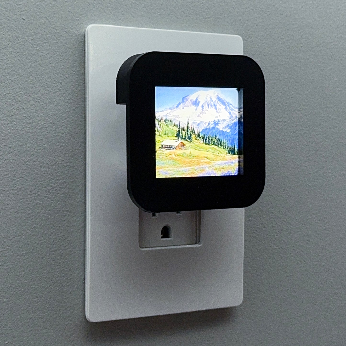 Mount Rainier National Park Night Light