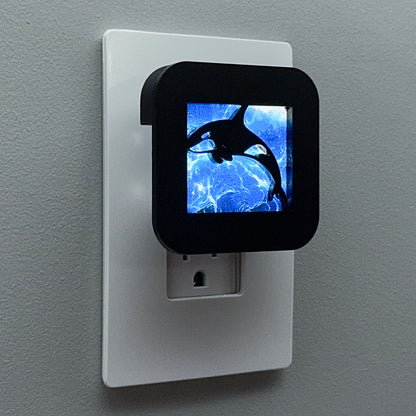 Orca Night Light