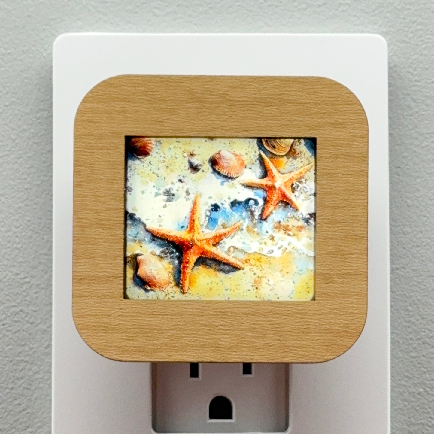 Starfish and Seashells Night Light