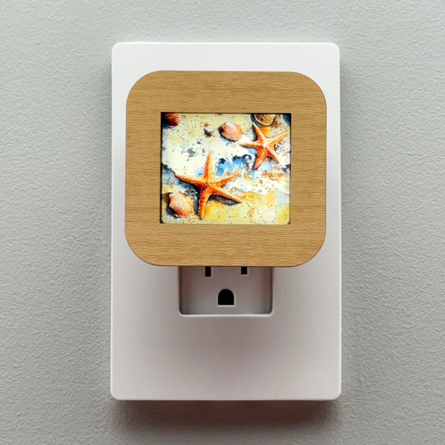 Starfish and Seashells Night Light
