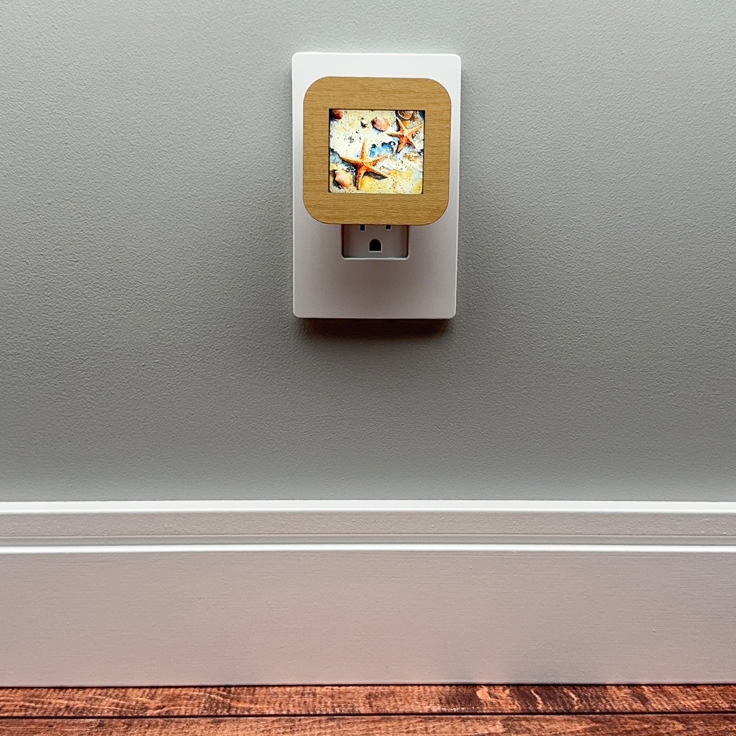 Starfish and Seashells Night Light