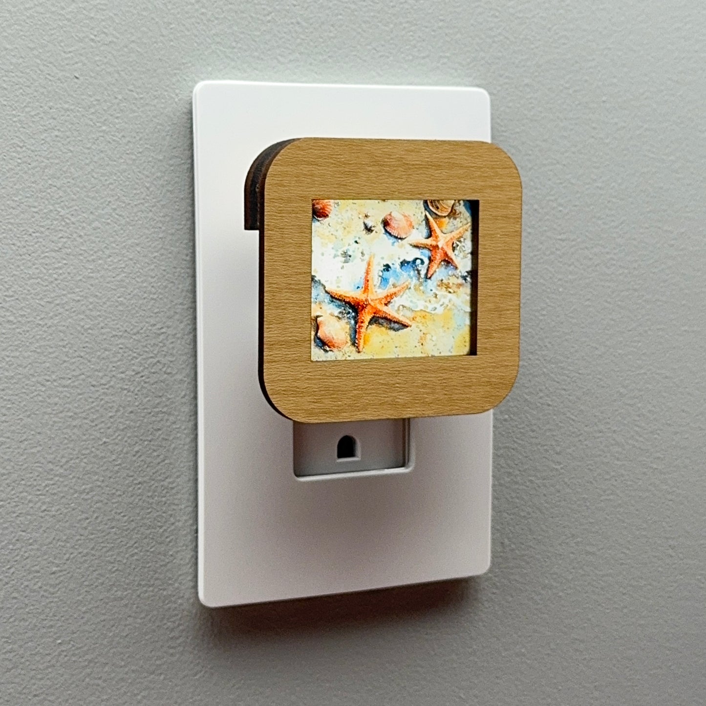 Starfish and Seashells Night Light